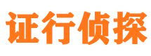 芦山市婚姻调查